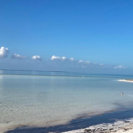 Barco Verde Hostel Isla Holbox Εξωτερικό φωτογραφία
