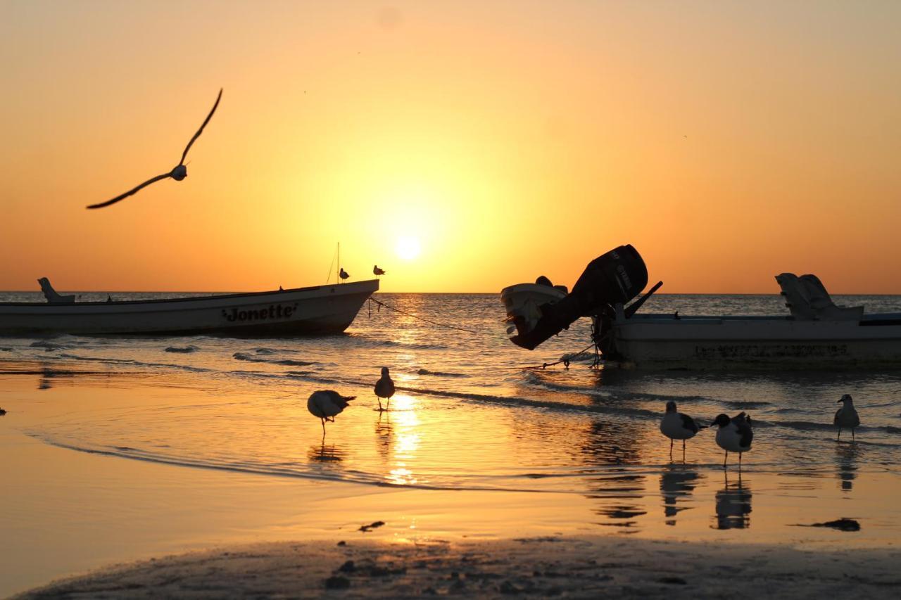 Barco Verde Hostel Isla Holbox Εξωτερικό φωτογραφία