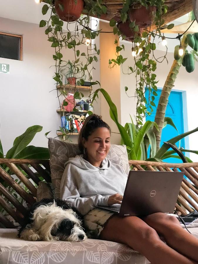 Barco Verde Hostel Isla Holbox Εξωτερικό φωτογραφία