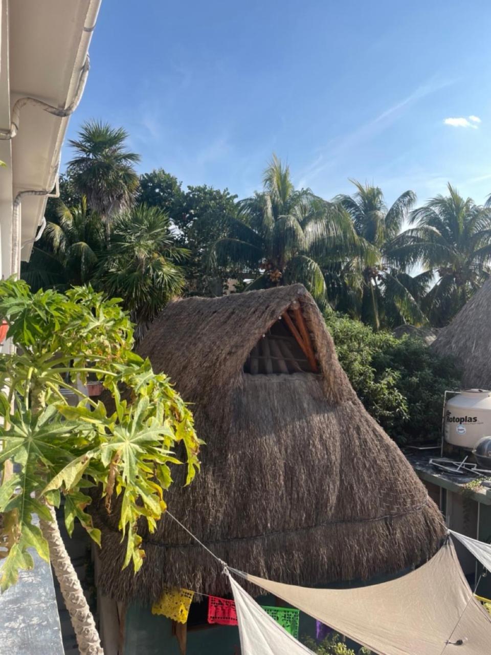 Barco Verde Hostel Isla Holbox Εξωτερικό φωτογραφία